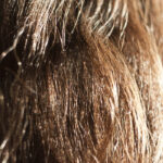 index_06 - HAPPYHAIR